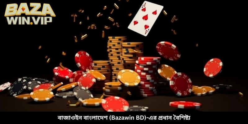বাজাউইন বাংলাদেশ-এর প্রধান বৈশিষ্ট্য
