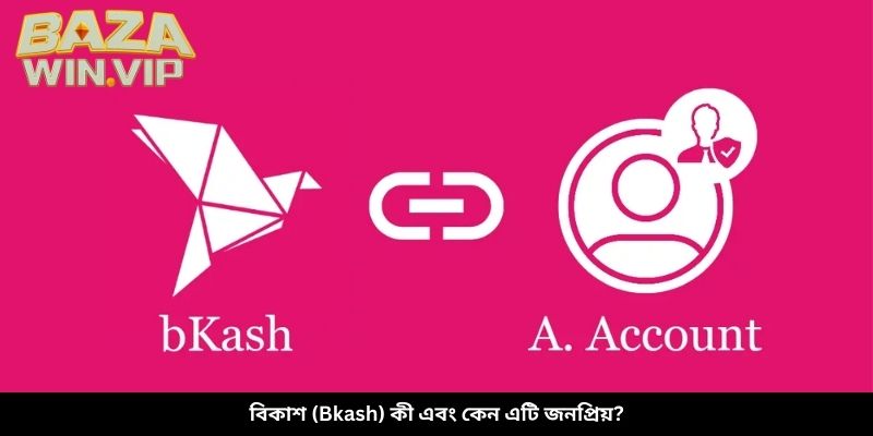 বিকাশ (Bkash) কী এবং কেন এটি জনপ্রিয়?