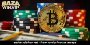 বাজাউইন অফিসিয়াল সাইট – নিরাপদ অনলাইন বিনোদনের সেরা গন্তব্য
