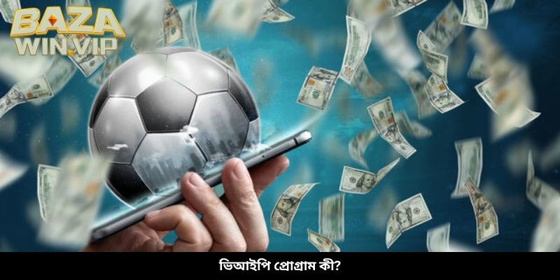ভিআইপি প্রোগ্রাম কী?