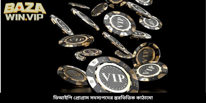 ভিআইপি প্রোগ্রাম সদস্যপদের স্তরভিত্তিক কাঠামো