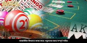 বাজাউইন কিভাবে কাজ করে: নতুনদের জন্য সম্পূর্ণ গাইড