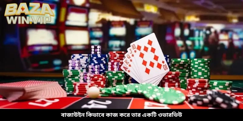 বাজাউইন কিভাবে কাজ করে তার একটি ওভারভিউ