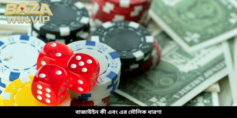 বাজাউইন কী এবং এর মৌলিক ধারণা